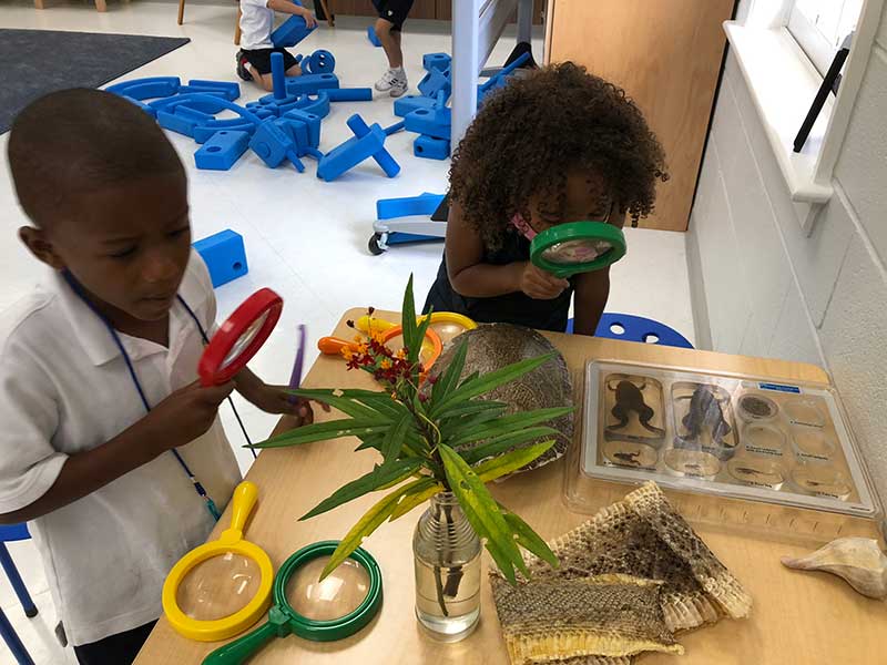 Lower School science