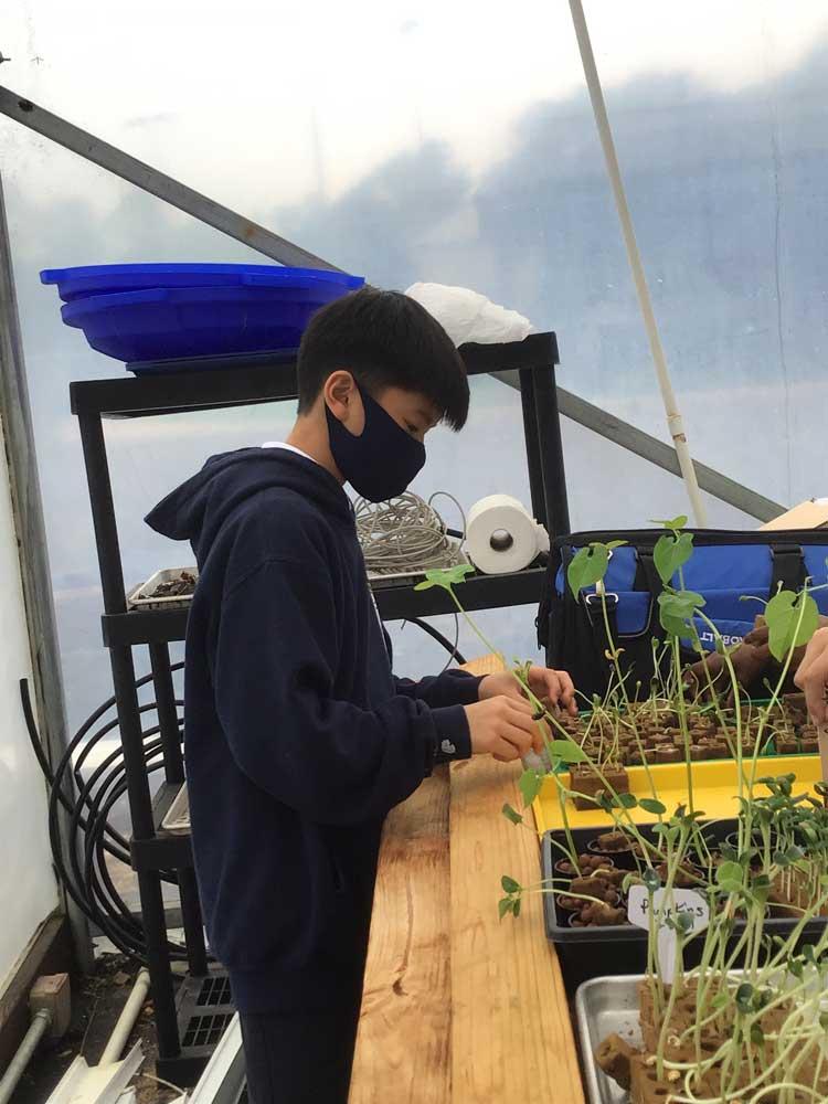 Greenhouse