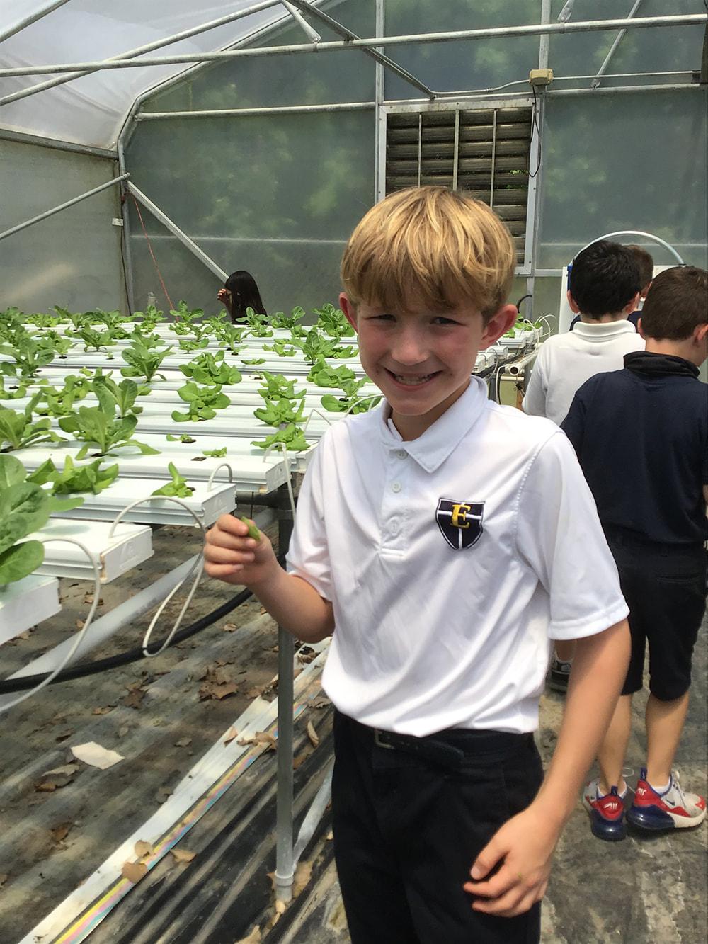 Greenhouse