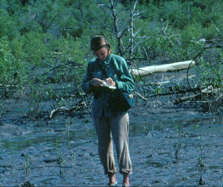 Jody Kennard field work