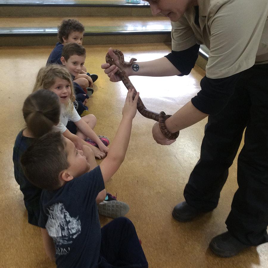 Zoo visit